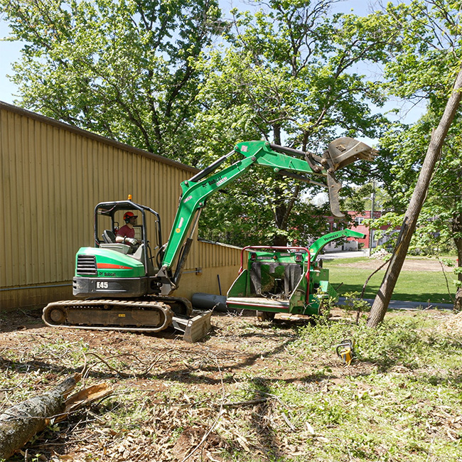 tree moving equipment rental